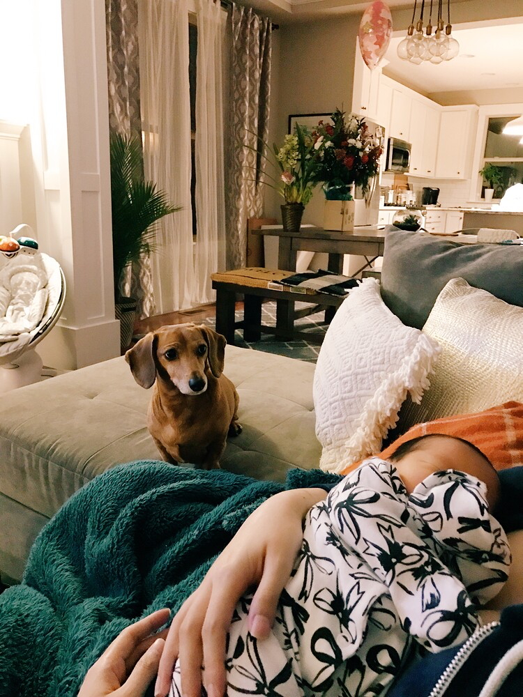 8F4470F9-034E-415C-9C1E-BF62309ADCD4|375x500