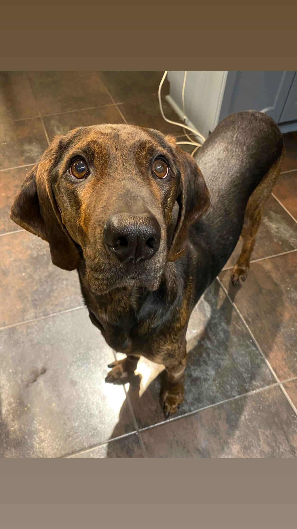 Winston|281x500, 75%