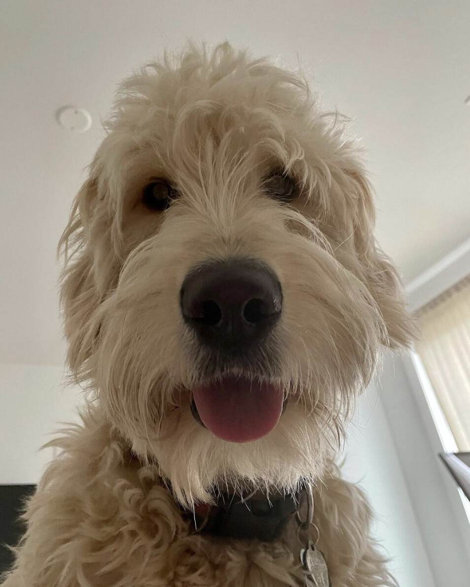 CleanShot 2021-07-11 at 23.47.17@2x|400x500